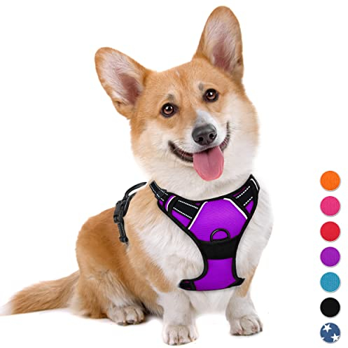 BARKBAY Dackel Hundegeschirr Brustgeschirr, kein Ziehen, groß, reflektierend, mit Frontclip und leicht zu bedienendem Griff für Spaziergänge, Training, Laufen (lila, M)