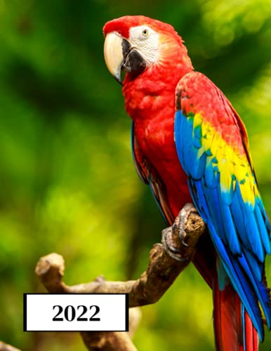 2022: Kalender 2022-2023 (Januar bis Dezember) - Kalenderjahr - Für Studenten, Berufstätige und Privatpersonen - Wochenplaner A4
