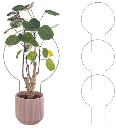 KADAX Rankhilfe aus Metall, 3 Stück, Rankgitter für Zimmerpflanzen und Topfpflanzen, Pflanzenstütze, Kletterhilfe für Pflanzen, Blumenstütze (Modell 3)