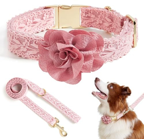 HQREA Rosa Spitzen-Hundehalsband und Leinen-Set für kleine Hunde mit abnehmbarer Blumenschleife, goldene Hardware, elegantes Haustierzubehör für Hündinnen, S