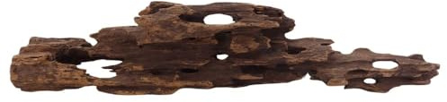 L Honey Comb Wurzel Nr.2980 Aquarium Wurzel Mangrove Holz Deko Aquascaping Dekoration Landschaft Moos Natur Echtholz