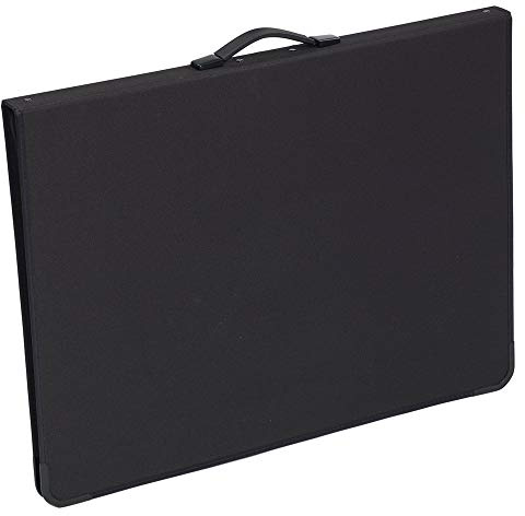 Teloman Matrix A2 Professional Portfolio Presentation Art & Graphic Carrying Case with Ring Binders (A2)