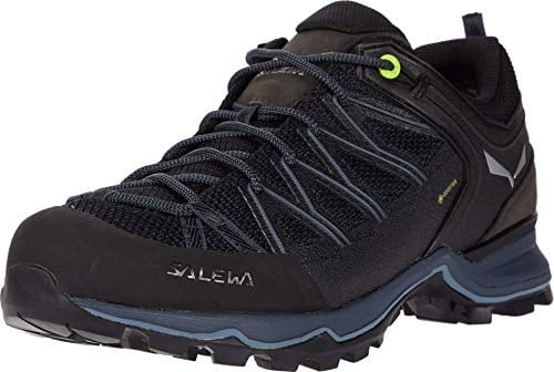 Salewa Mountain Trainer Lite Gore-Tex® Men's Shoes