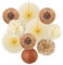 SUNBEAUTY 10 Stück Beige Braun Pompons Deko Lampions Boho Seidenpapier Pompoms Geburtstagsdeko Papier Fächer Party Deko für Geburtstag Hochzeitsdeko Vintage Zimmer Dekoration Babyparty Neutral