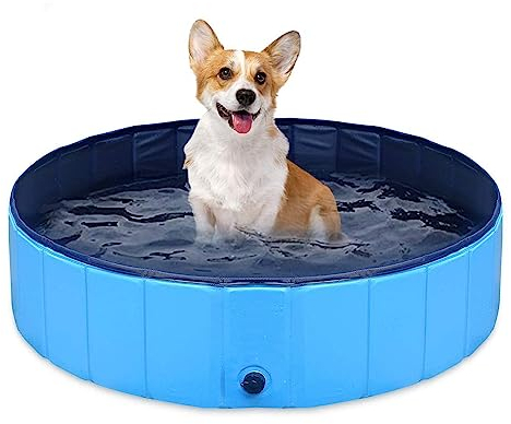 Piscina para Perros Plegable, Mascota Piscina Portátil, Bañera para Niños, Piscina Perros Pequeños, Piscina de Perros Portátil, Piscina Perros, para Mascota Perro Gato PVC Antideslizante (80x20 cm)