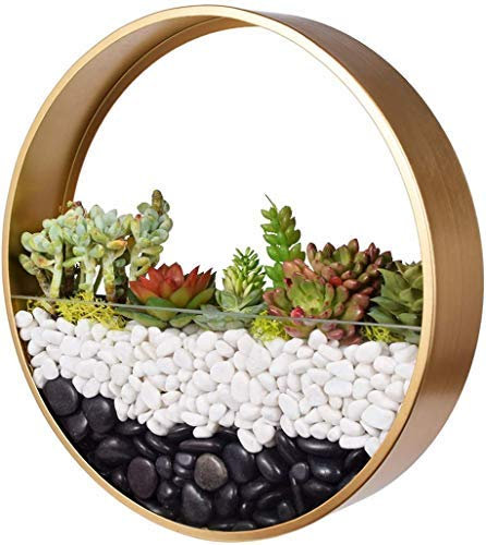 Ecosides -Macetas Colgantes Redondas,Metal Macetas de Pared, Terrarios Colgantes, Terrario Redondo, Jarrón de Metal para Pared, Jardín de Hadas Maceta para Flores,Maceta de Pared Colgante