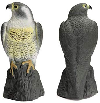 Garden Mile Grand répulsif réaliste Falcon Leurre répulsif complet