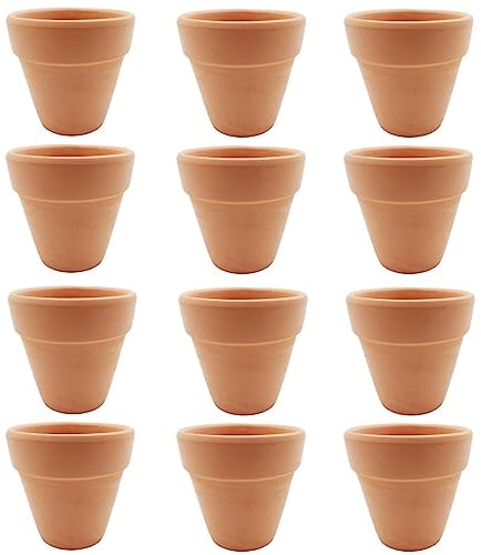 Molyorch 12 Pezzi Vasi in Terracotta,Vaso Terracotta in Argilla Rosso, Piante Terracotta Piccolo Vaso, Argilla Set Vaso, per Ufficio Decorativo, Matrimonio Compleanno Casa (6,5 x 6cm)