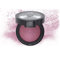 Collection Professional Baked Blush, Fard cotto dal tocco setoso e finish luminoso (N.01 Plum) 4,5 gr