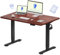 FLEXISPOT E1 Plus ONE PIECE Electric Standing Desk Height Adjustable Sit Stand Desk with Memory Smart Panel Backpack Hook, Home Office(120 * 80cm, Black Frame+Mahogany Desktop)