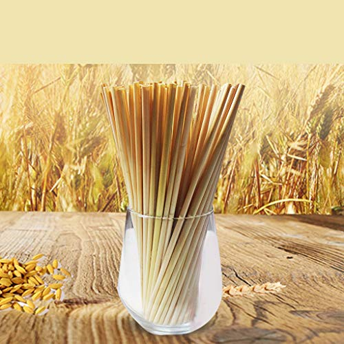 100Pcs Pailles en La paille de blé,Pailles écologiques,biodégradables et réutilisables,pailles de bambou 100% biodégradables en bois de bambou naturel,alternative au plastique,végétalienne BPAfree.
