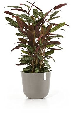 ECOPOTS Oslo Pflanzentopf - Modern, rund, recycelt, langlebig, für Innen & Außen geeignet, 17.5 cm Durchmesser