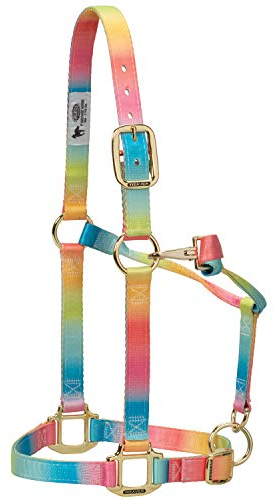 Weaver Leather Uni-Erwachsene Polyester Rainbow Adjustable Chin and Throat Snap Halter, 1 Small Horse Halfter, Regenbogen