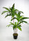 Dracena/Drachenbaum 100cm ZJ künstliche Palme Palmen Kunstpalmen Kunstpflanzen Dekopalmen