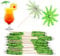 Cocktail Drink Umbrella,50PCS Paper Umbrella Sticks Drink Umbrellas Cocktail Picks Umbrella Toothpicks Handmade Cocktail Parasol Sticks Cupcake Toothpicks for Party Decoration(Coconut Palm Tree)