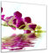Glasbild - Orchidee IV - 20 x 20 cm - Deko Glas - Wandbild aus Glas - Bild auf Glas - Moderne Glasbilder - Glasfoto - Echtglas - kein Acryl - Handmade