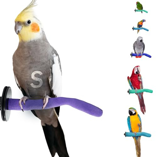 Sweet Feet and Beak Safety Pumice Bird Perch, Small Pedicure Perch, Purple | Plastic Bird Nail Trimming Perch, Pumice Coated Surface for Healthy Feet and Beak, 8 Lightweight Perch, Available In 5 Sizes
