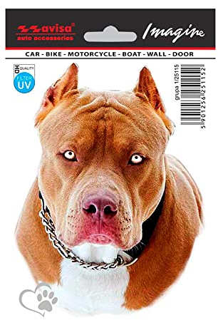 Avisa AutoTattoo Aufkleber Pit Bull - 11x14,5cm