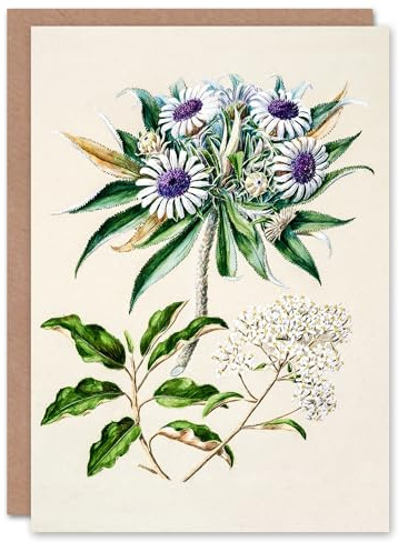 Artery8 Sarah Featon Art Card New Zealand Teteaweka Plant Flowers