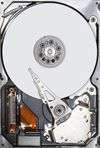 HP 507750-B21 Interne Festplatte (500 GB, 2,5 Zoll / 6,35 cm), Zertifiziert