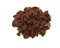 VIALCA Orchideenerde - Bark speziell für Orchideen - 5 l