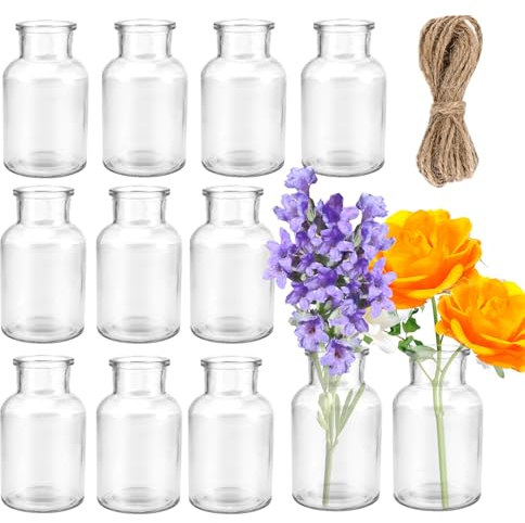 12 pezzi Vasi di Vetro Piccoli,vasi da fiori Tavola Decorazioni Matrimonio di Nozze, feste Vaso Vetro Trasparente Vasi Piccoli Decorativi, Centrotavola Vetro, Decorazioni Fiori