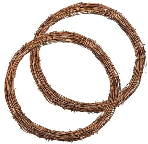 2 Pcs Wreath Making Supplies, Ring Base, Vine Branch Rattan Wreath for DIY Christmas Craft, Front Door Wall Hanging, Halloween, Wedding and Party Decors (25cm)