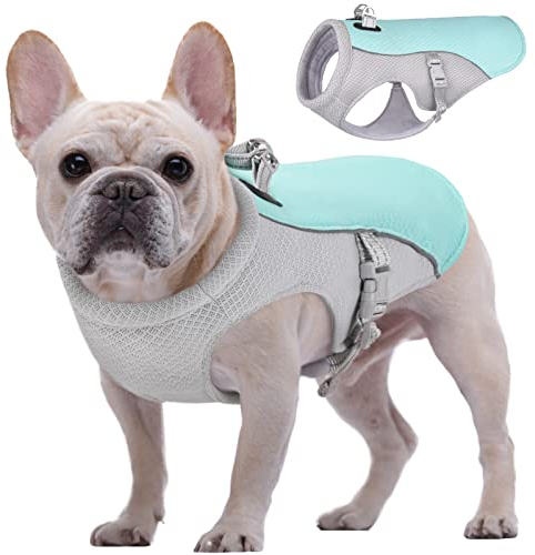 Kuoser Kühlweste für Hunde, Hundekühlungsmantel für heiße Sommertage, Atmungsaktive & Reflektierende Sicherheitsweste für Klein Mittel Hunde, Kühljacke für Aktivitäten Draußen Wandern Training Blau