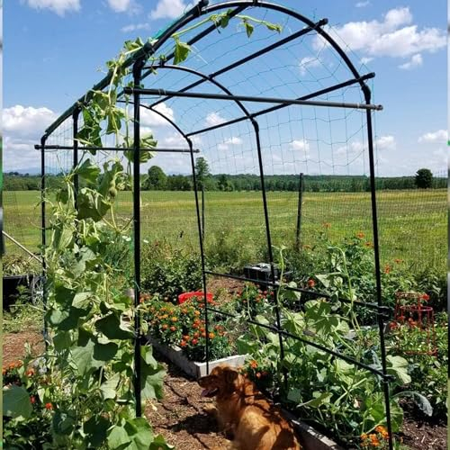 NIENLCIP Gartenbogen für Kletterpflanzen, 230 cm hoher Rankgitter mit PE-beschichteter Metallstruktur, Rankhilfe Rankbogen Rosenbogen Torbogen für Gemüse, Obst, Blumen