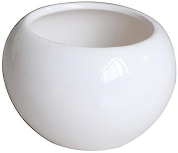 INOOMP Accessoires Plantes Grasses Cafe Decoration Interieur Pots d'intérieur Mini Pots pour Plantes Pot de Fleur Interieur Vase de Plantes succulentes Mini-Pot de Fleur Blanche