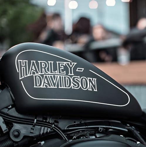 2 Grafiche Adesive Stickers Worldcustom compatibili con Harley Davidson Serbatoio Sportster Moto (Bianco, 12 Litri)