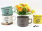 Lote 4 Tazas Time For Coffee. Detalles y Recuerdos para Bodas Originales. Tazas Frases Café - Regalos para Cumpleaños, Navidad, Navidades, Amigo Invisible