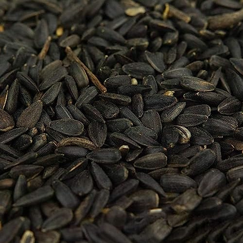 BusyBeaks Black Oil Sunflower Seeds | Premium Quality Garden Wild Bird Food | Full of Protein, Rich in Oil Mix | Nutritious, High Energy Mixture | Perfect Year-Round Feeding for Birds (1kg)
