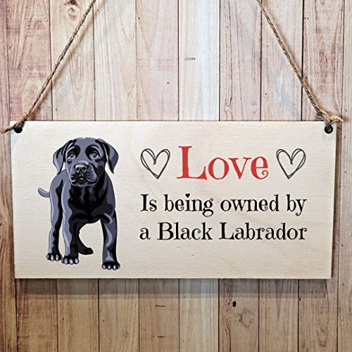 Second Ave Schild mit schwarzem Labrador-Hund, Holz, zum Aufhängen, rechteckig, Hausschild