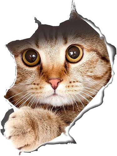 Süß 3D Katze/Hund Wandaufkleber Kinderzimmer Schlafzimmer Wandtattoo WC Deckel Wasserfest Aufkleber Badezimmer Wandsticker Kühlschrank DIY Sticker Zubehör