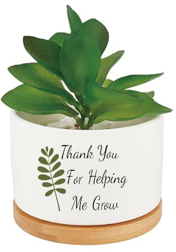 CRASPIRE Grazie per Avermi Aiutato A Coltivare Vasi per Piante Grasse Cactus Ceramica Bianca Aloe Vera Fioriera in Legno con Foro di Drenaggio per Interni Ed Esterni per Ringraziare Gli Insegnanti