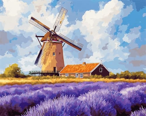 N.LANSHAN DIY Latchook Kit Cartoon Lavender and Windmill Latch Hook Kits DIY Rug Making Crafts with Colorful Pattern Printed,Embroidery Sewing Set 100x140cm