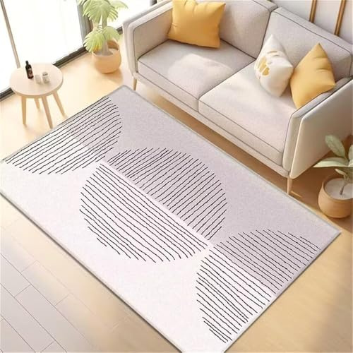 RUGMRZ Deko Zimmer Tumblr Tisch Esszimmer Teppich Graue Fuzzy-Dekoration pflegeleicht Hell Outdoor Bunt 60X90CM