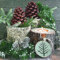 20 Servietten Weihnachten Zapfen Natur grün Christmas 33x33 cm