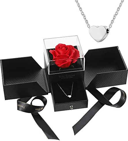 AFSTALR Ewige rose Infinity Rosen mit Rote Rosen Geschenkbox, Eternal Rose Geschenke für Damen Frau freundin verzauberte echte Rose Blume zum Valentinstag