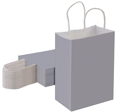 ELOKI Papiertüten, 25 Stück Geschenktüten Bunt mit Henkel, Geschenktüten für Geburtstag, Hochzeiten, Einkaufen, Verpackungen, Partys, Weihnachten -Silber(15 * 8 * 21 cm)