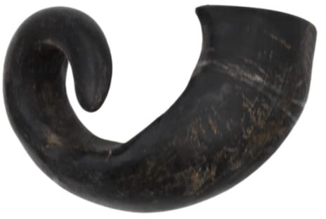 Express Pet Supplies Large Buffalo Horn 5 Pack Dog Treat Chew