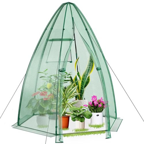 HOMASIS Invernadero de balcón de invierno hexagonal, invernadero de jardín con ventana y puerta enrollable, mini invernadero para plantas de polietileno de terraza, 160 x 160 x 183 cm, verde