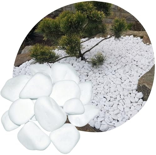 V-PREMIUM SOLUTION -Thassos Weiße Marmor-Kieselsteine - Dekorativ Stein 2-4 cm - Gartendeko - Dekostein - Natürliche Gartendekoration aus Griechenland - Schneeweißer Glanz - Kieselsteine