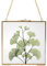Homtone 16x16cm Cadre photo mural doré et transparent de fabrication, artisanale au motif de fleurs séchées pour décoration murale