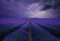 Fototapete Field of Lavender Vliestapete Lavendel Natur Landschaft in lila grün braun 384 x 260 cm XXL Wandtapete Wandbild 118963