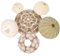 Cabilock 6 Stücke Seeigel Muscheln Gehäuse Schalen Aquarium Deko Tillandsien Halterung Luftpflanzen Ständer Halter Aufhänger Sukkulenten Blumentopf Pflanzenhalter Kunstpflanze Kaktus Topf