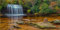 MIRRORANG 180x61cm Wasserfall Terrarium Hintergrund Tropischer Regenwald Aquarium Hintergrund See Stein Felsen Reptilien Lebensraum Hintergrund Vinyl