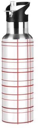 HMZXZ Water Bottle with Straw Leakproof Hot Water Bottle Gingham Scott Vacuum Insulated Bottle for Girls Boys Sports 600ml