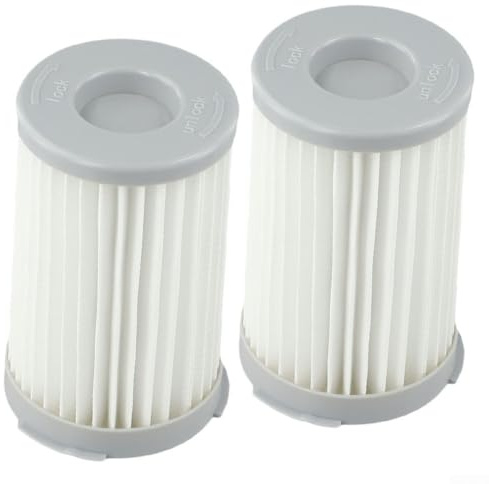Filtro HEPA de repuesto para modelos de aspiradora Electrolux para Energica, para Cyclonilite, Ergoeasy (2 unidades)